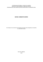 Dissertação Rafael Camaratta.pdf